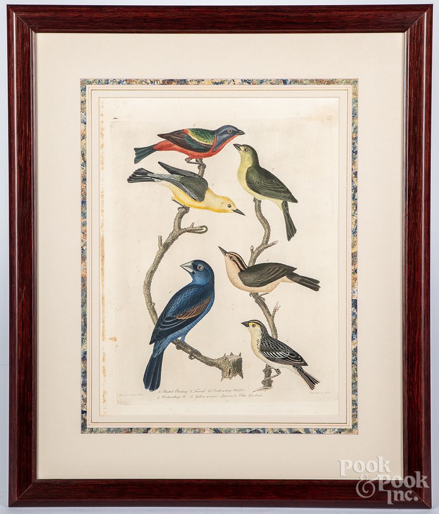 Appraisal: Six Alexander Wilson color bird engravings Six Alexander Wilson color