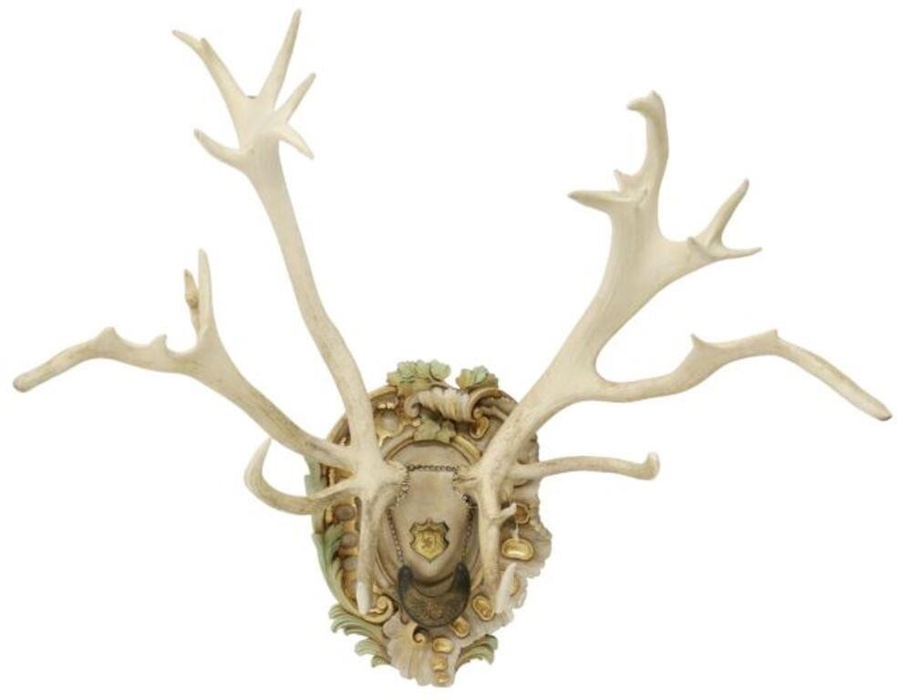 Appraisal: Habsburg red stag antler trophy mount th c large point