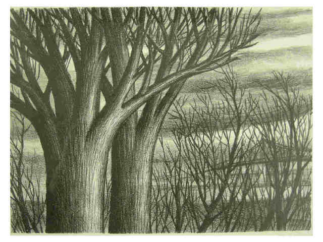 Appraisal: Florence B Smithburn x engraving Estate Stamp verso Winter Trees