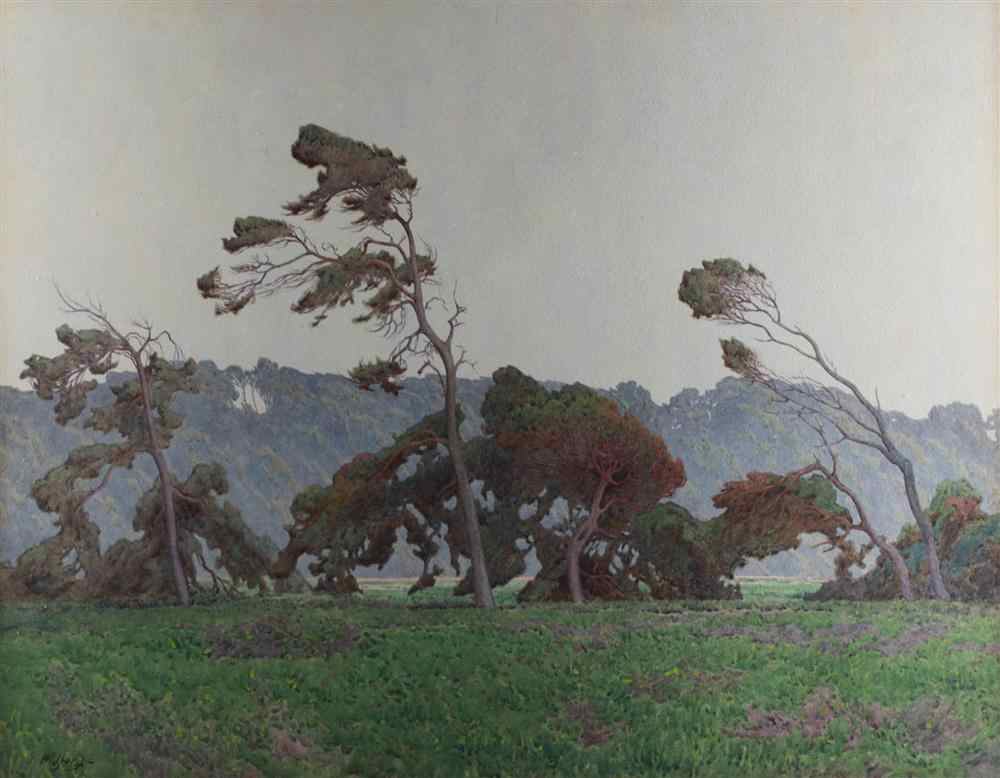 Appraisal: GUNNAR MAURITZ WIDFORSS AMERICAN - PINES AT MONTEREY Gouache and