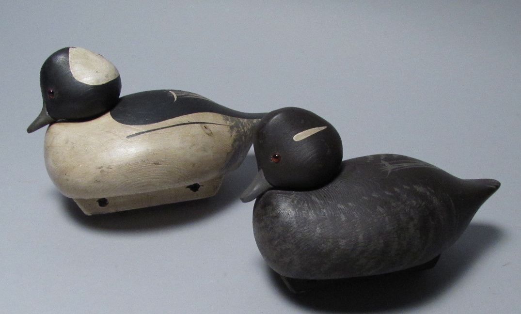 Appraisal: PAIR OF BUFFLEHEAD DECOYS Stamped under tail D B