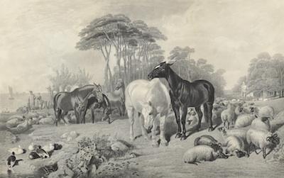 Appraisal: An Engraving of Horses After J F Herring Snr Engraved