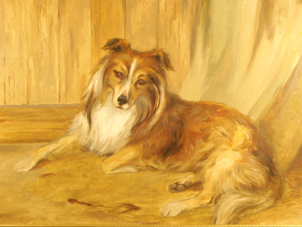 Appraisal: English School Study of a recumbent dog oil on canvas