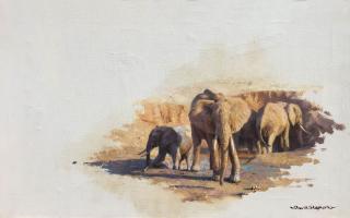 Appraisal: Elephant Country Tsavo by David Shepherd David Shepherd - oil