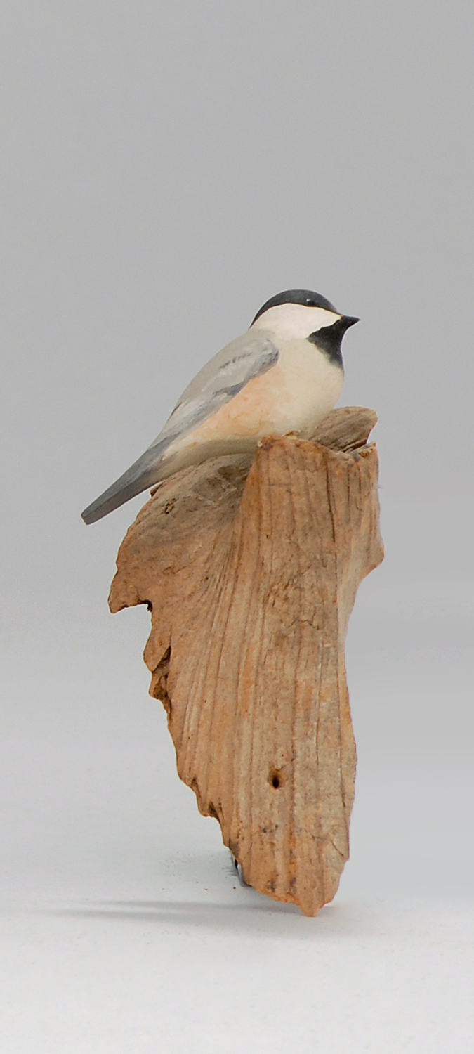 Appraisal: MINIATURE CHICKADEE By Harold Gibbs of Barrington Rhode Island Mounted