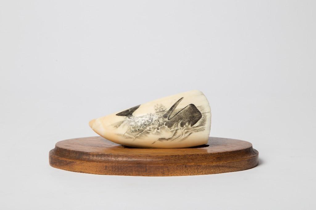 Appraisal: A SCRIMSHAW WHALE TOOTH SIGNED PETERSON Whale tooth with scrimshawed