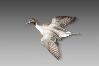 Appraisal: Flying Pintail Drake by William Gibian b William Gibian b