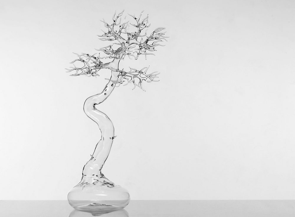 Appraisal: Simone Crestani - Glass Bonsai Title of Artwork Glass Bonsai