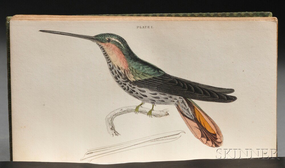 Appraisal: Jardine Sir William - The Natural History of Humming-birds from