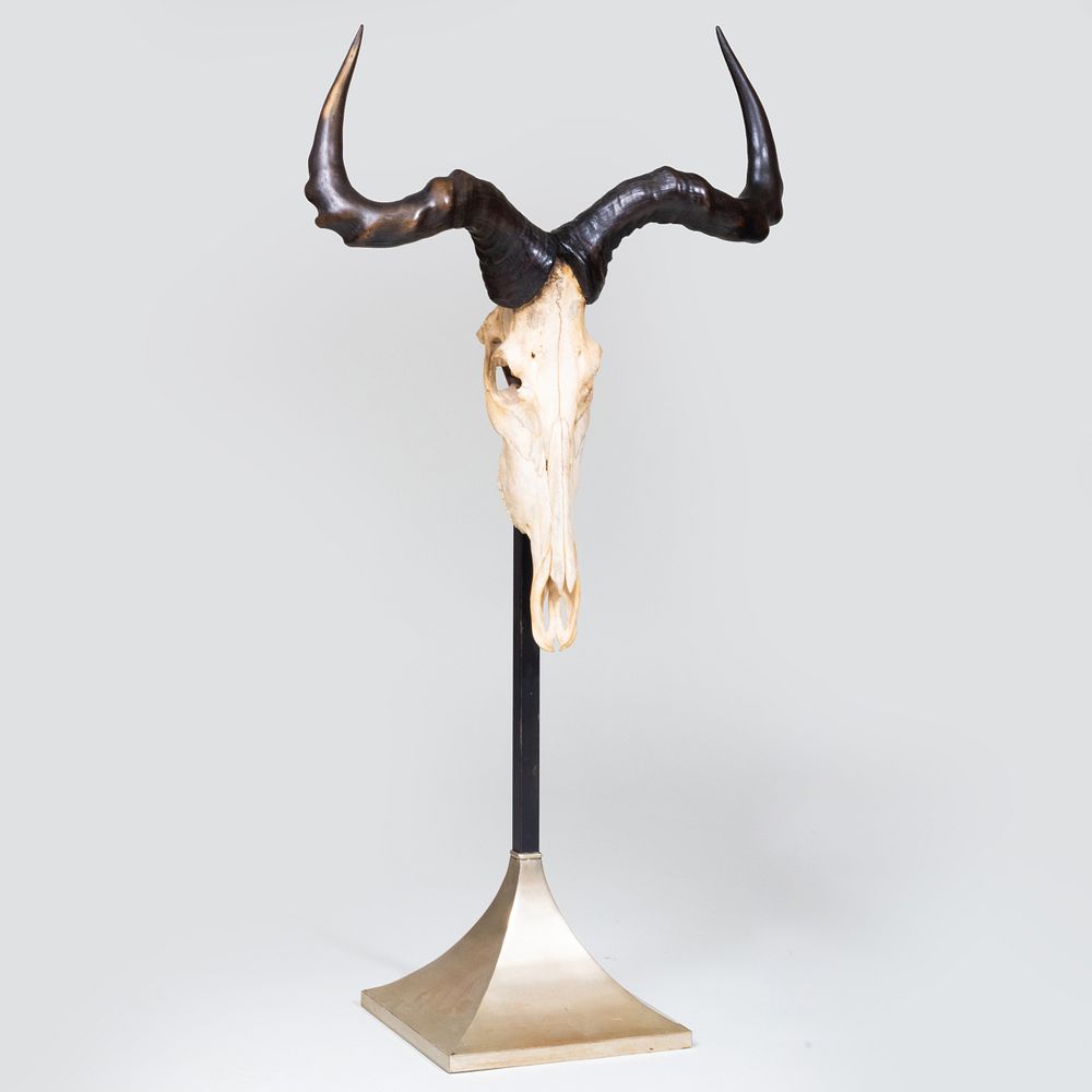 Appraisal: African Animal Trophy Raised on stand ft x x in