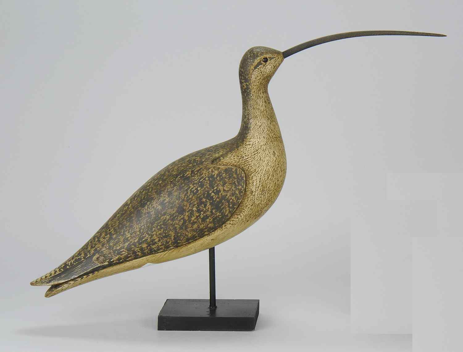 Appraisal: HOLLOW-CARVED CURLEW DECOYBy Nathaniel Kirby of Egg Harbor New Jersey