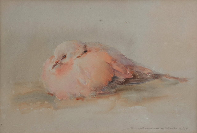 Appraisal: IAN ARMOUR-CHELU - Study of a dove signed and dated