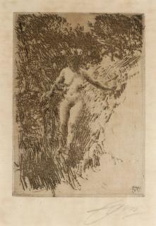 Appraisal: ANDERS ZORN ETCHING PENCIL SIGNED NUDE ANDERS ZORN Swedish -