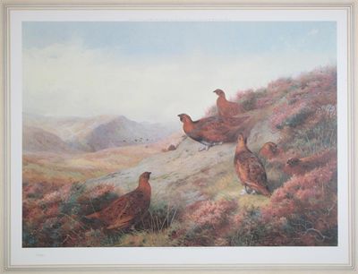 Appraisal: Archibald Thorburn - Grouse Ptarmigan Pheasant Partridge Set of limited