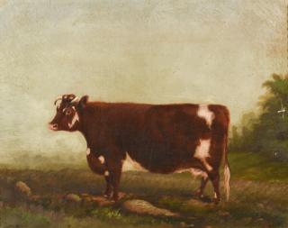 Appraisal: th c Portrait of a Prize Cow Devon Farm th