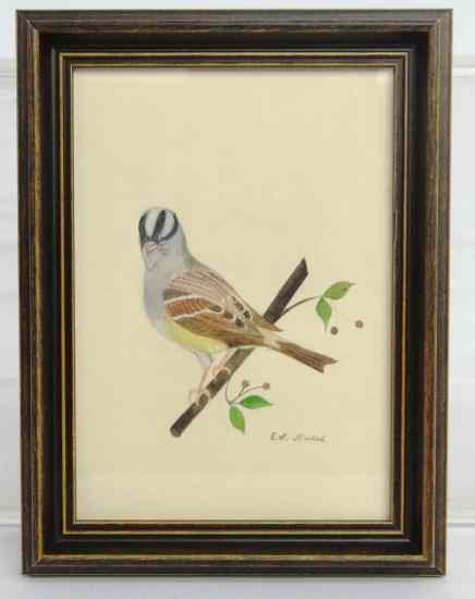 Appraisal: Watercolor on paper ''A White Crowned Sparrow'' by noted Ct