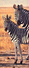 Appraisal: Lindsay Scott Present Mother and Young Zebraoil on canvas x