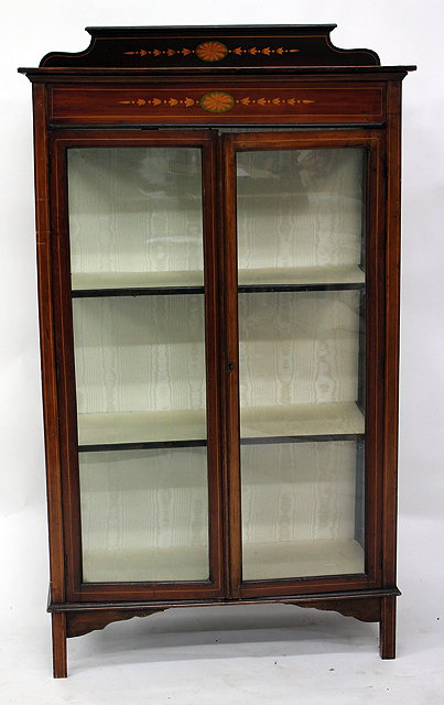 Appraisal: AN EDWARDIAN MAHOGANY TWO DOOR DISPLAY CABINET with painted decoration