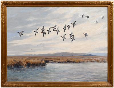 Appraisal: Roland H Clark painting Connecticut - canvasback ducks in flight