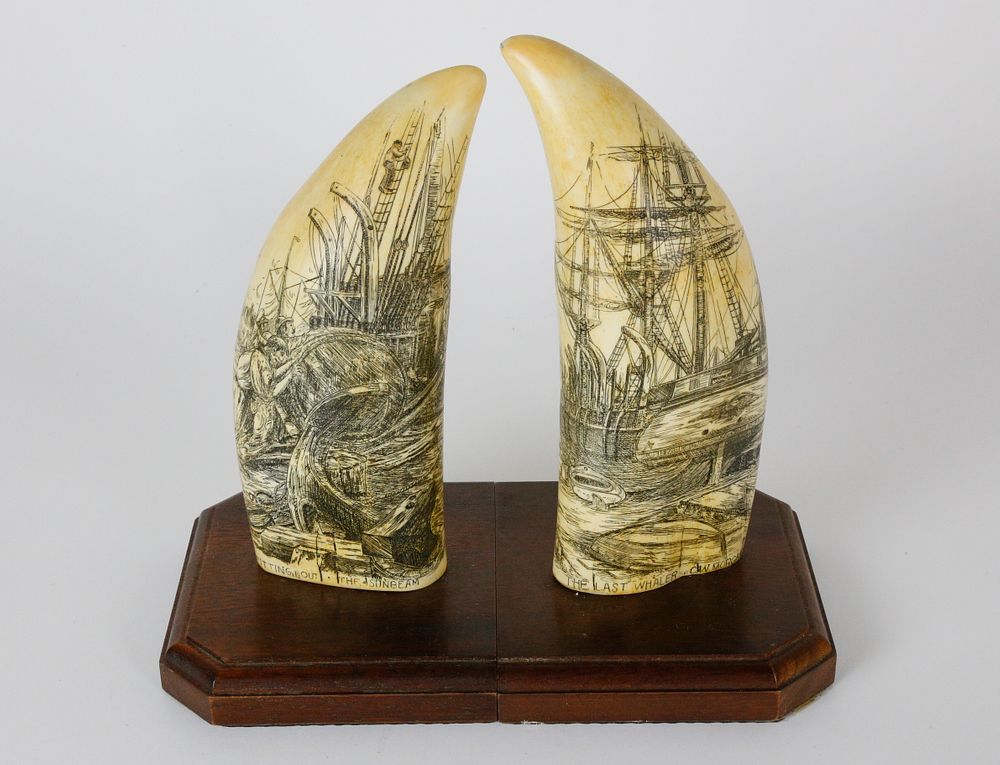 Appraisal: Pair of Museum Reproduction Whale Teeth Bookends Pair of Museum