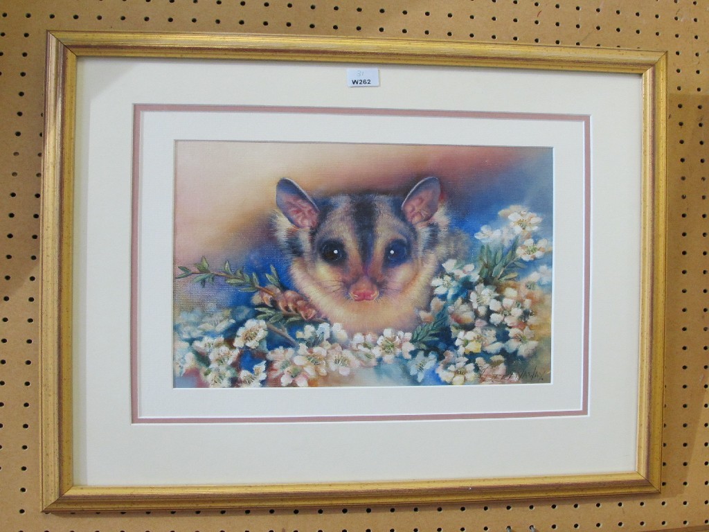 Appraisal: GREENAWAY Oil on board 'Possum' signed