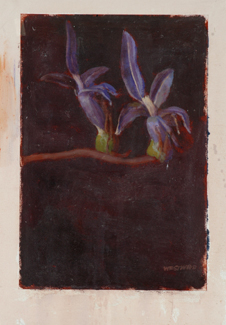 Appraisal: Bryan Westwood - Orchid oil on paper signed 'Westwood' lower