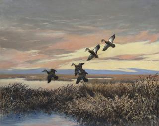 Appraisal: Roland H Clark - Sunset - Black Ducks signed Roland