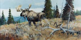 Appraisal: Morning Moose by Ken Carlson Ken Carlson - oil on