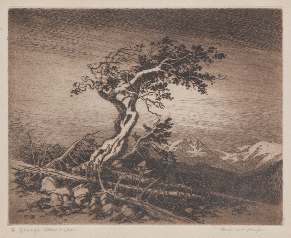 Appraisal: PINE TREE PRINT GEORGE EDGAR BURR American - Etching on