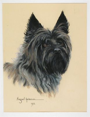 Appraisal: Margaret Anderson A R M S - Cairn terrier Signed