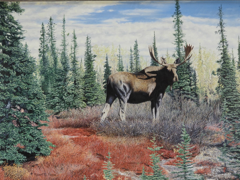 Appraisal: ROBERT E PEASE NATURALIST NH MOOSE PAINTING United States -