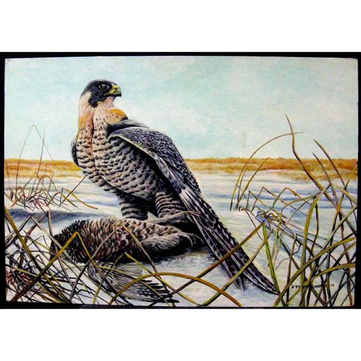 Appraisal: DION NINGEWANCE NATIVE CANADIAN TH CENTURY FALCON WITH PREY ACRYLIC