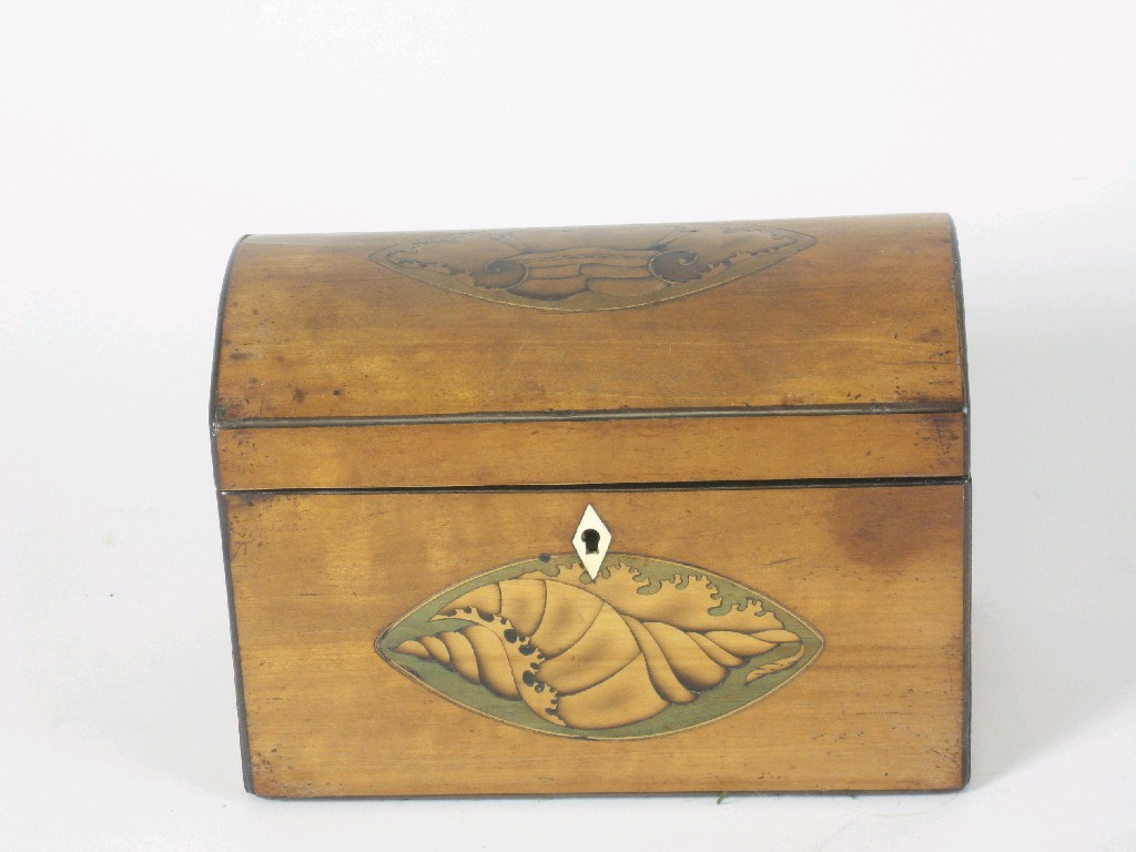 Appraisal: An th Century satinwood domed Tea Caddy with shell inlay