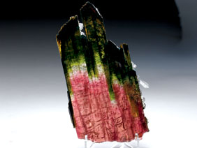 Appraisal: WATERMELON TOURMALINE SLICE Zambia Africa This impressive tourmaline slice displays