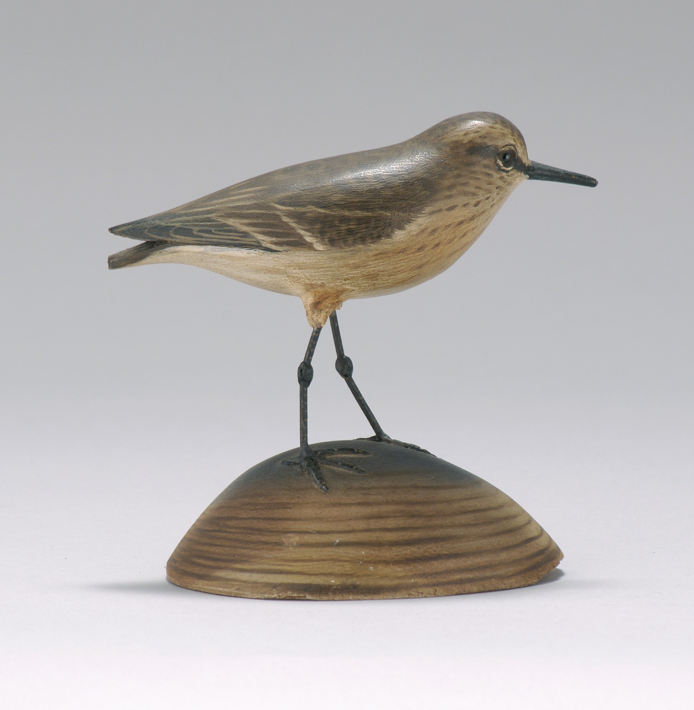 Appraisal: RARE LIFE-SIZE DECORATIVE SANDERLING Circa By A Elmer Crowell of