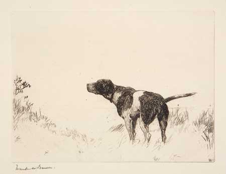 Appraisal: FRANK W BENSON Pointer Dog Etching on cream laid paper