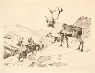 Appraisal: Carl Rungius Mountain Caribou Carl Rungius Mountain Caribou etching on