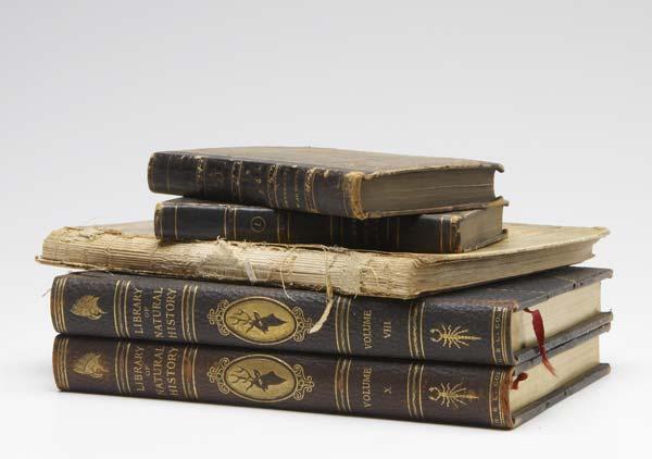 Appraisal: BOOK BOX LOT Approximately seventy-five leather bound books from the