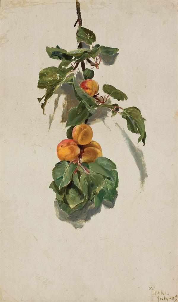 Appraisal: CONRAD WISE CHAPMAN American - Peaches on a Branch oil