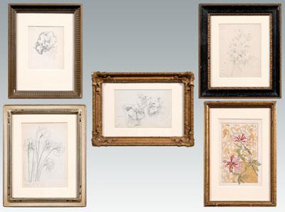 Appraisal: Five Eleanore R Price sketches botanicals of azaleas honeysuckle violets