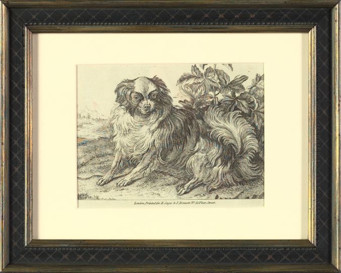 Appraisal: British School th Century King Charles Spaniel engraving sight -