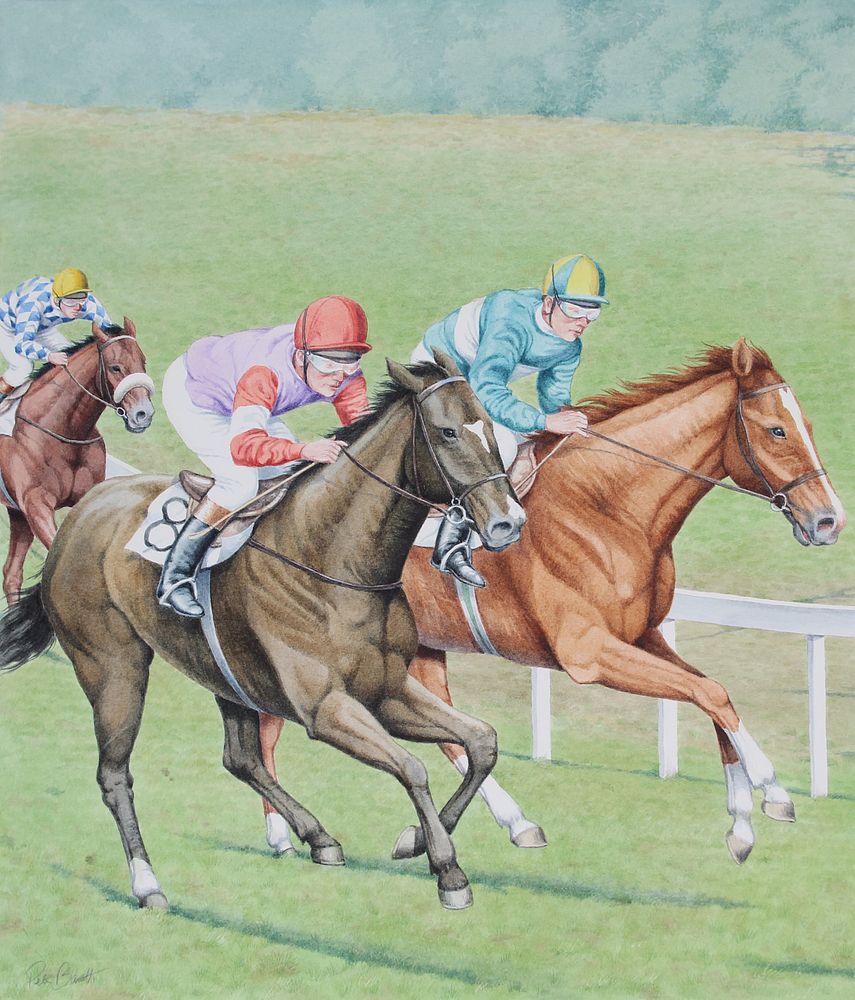 Appraisal: Peter Barrett B Thoroughbred Peter Barrett B Sporting Horses -