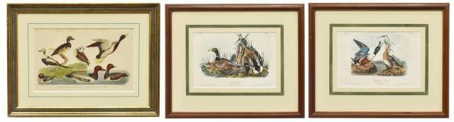 Appraisal: lot of Framed hand-colored ornithology lithographs on paper from The