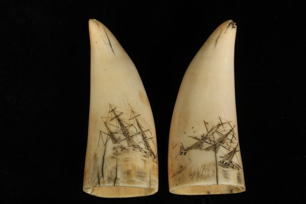 Appraisal: PAIR OF SCRIMSHAWN WHALE TEETH - Two Small th c