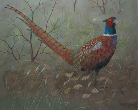 Appraisal: RALSTON GUDGEON R S W SCOTTISH - PHEASANT Signed watercolour