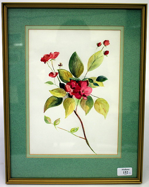 Appraisal: A DECORATED BOTANICAL WATERCOLOUR of cherry blossom cm x cm