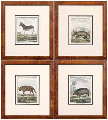 Appraisal: Four prints of African animals Buffon Paris Le sanglier hellip