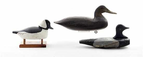 Appraisal: Duck decoy collection bufflehead by Tommy Savage H '' L