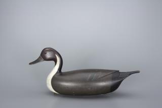 Appraisal: The English Pintail Drake John English The English Pintail Drake