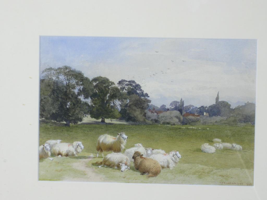 Appraisal: THOMAS FRANCIS WAINWRIGHT Sheep resting in a Meadow with distant